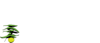 logo-white